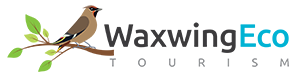 Waxwing Eco Tourism and Birding